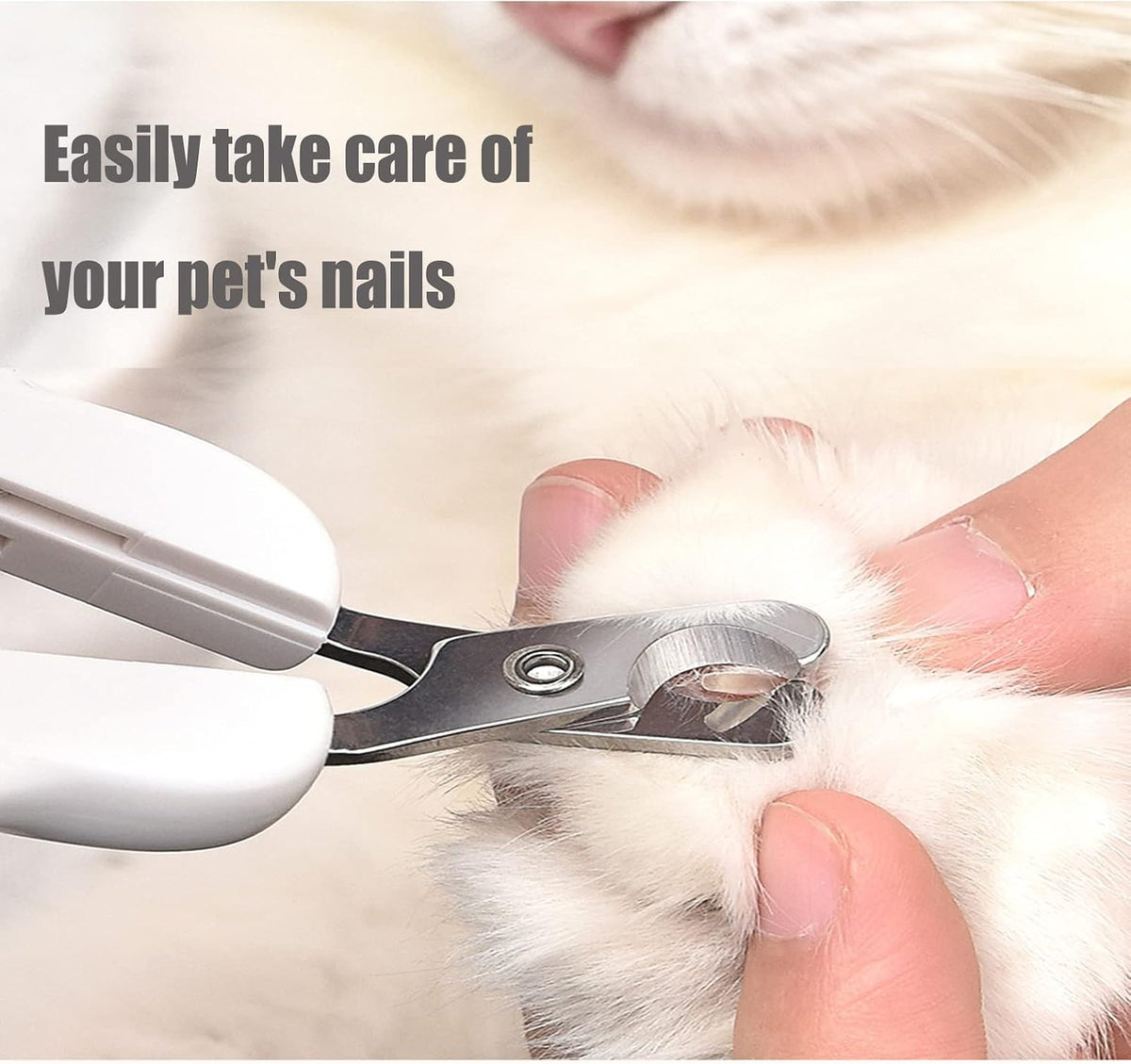 Krallenschere Für Katzen,Cat Nail Clippers,Pet Nail Clippers,Cat Claw Cutters,Welpen,Katzen Krallenschere,Haustiere,Krallenschere Sicherheits Krallenzange Ergonomische Fußnagelschere