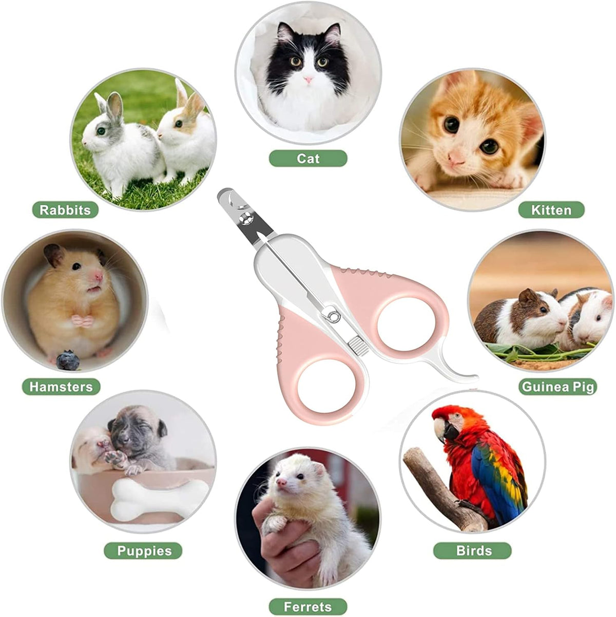 Krallenschere Für Katzen,Cat Nail Clippers,Pet Nail Clippers,Cat Claw Cutters,Welpen,Katzen Krallenschere,Haustiere,Krallenschere Sicherheits Krallenzange Ergonomische Fußnagelschere