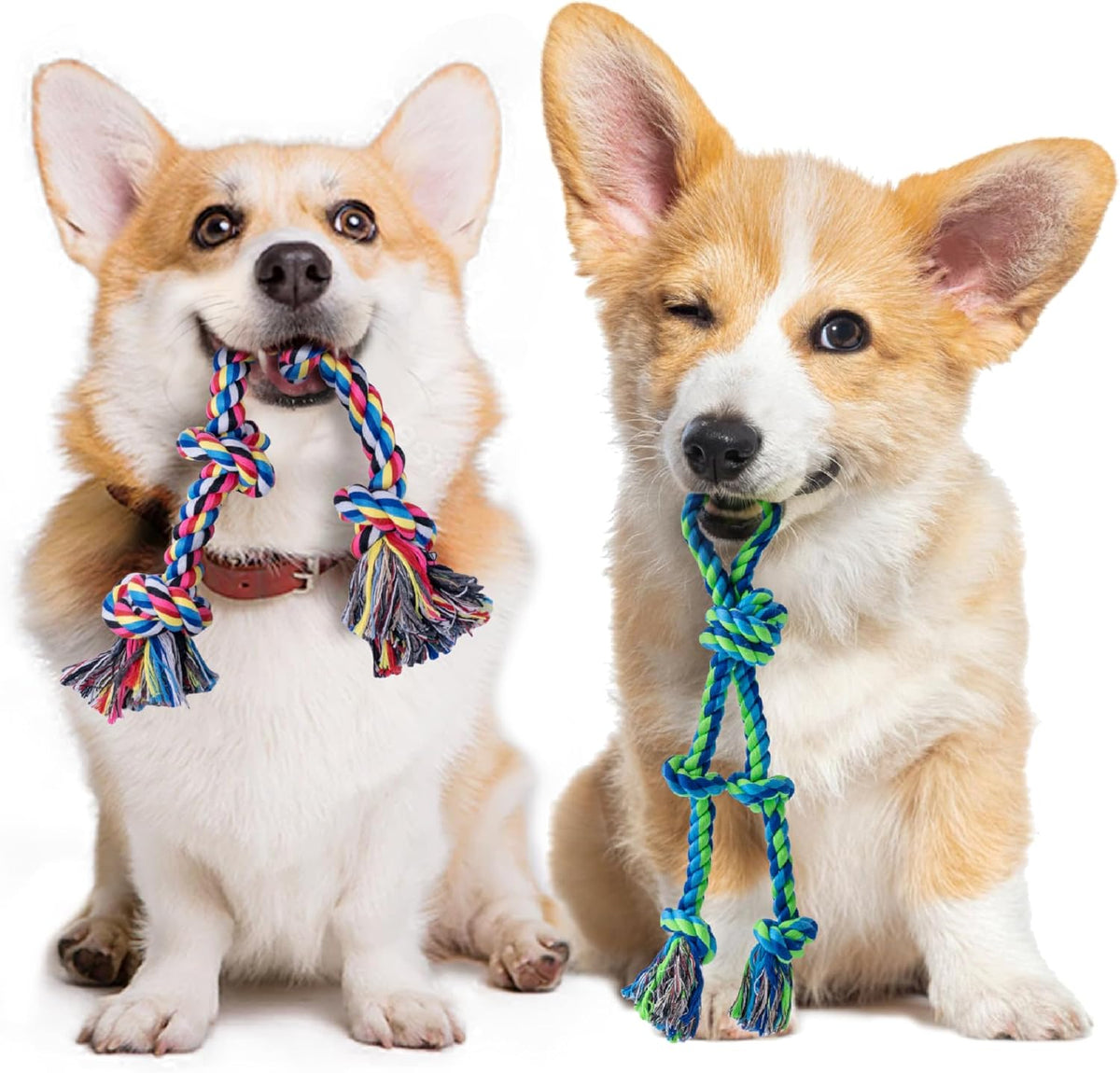 SHARLOVY Puppy Rope Toy, Dog Rope Toy for Small Dogs, Puppy Tething Toys, Cotton Interactive Tug of War Dog Toy for Puppy Langeweile, Dog Chew Toys for Aggressive Chewers Small Breed