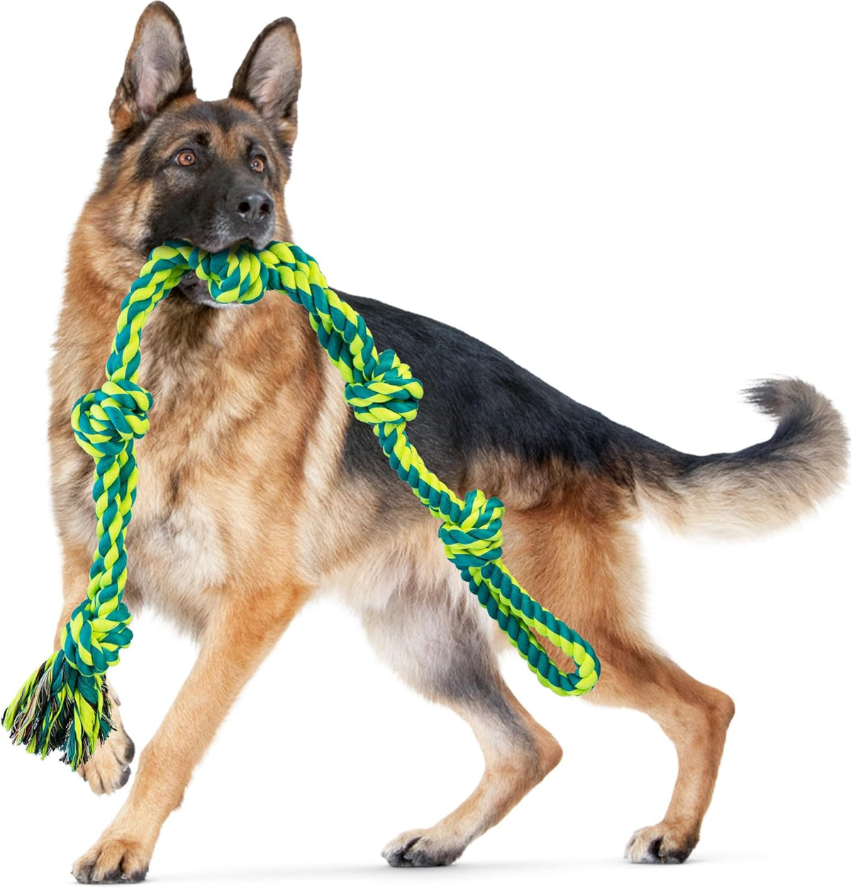 SHARLOVY Puppy Rope Toy, Dog Rope Toy for Small Dogs, Puppy Tething Toys, Cotton Interactive Tug of War Dog Toy for Puppy Langeweile, Dog Chew Toys for Aggressive Chewers Small Breed