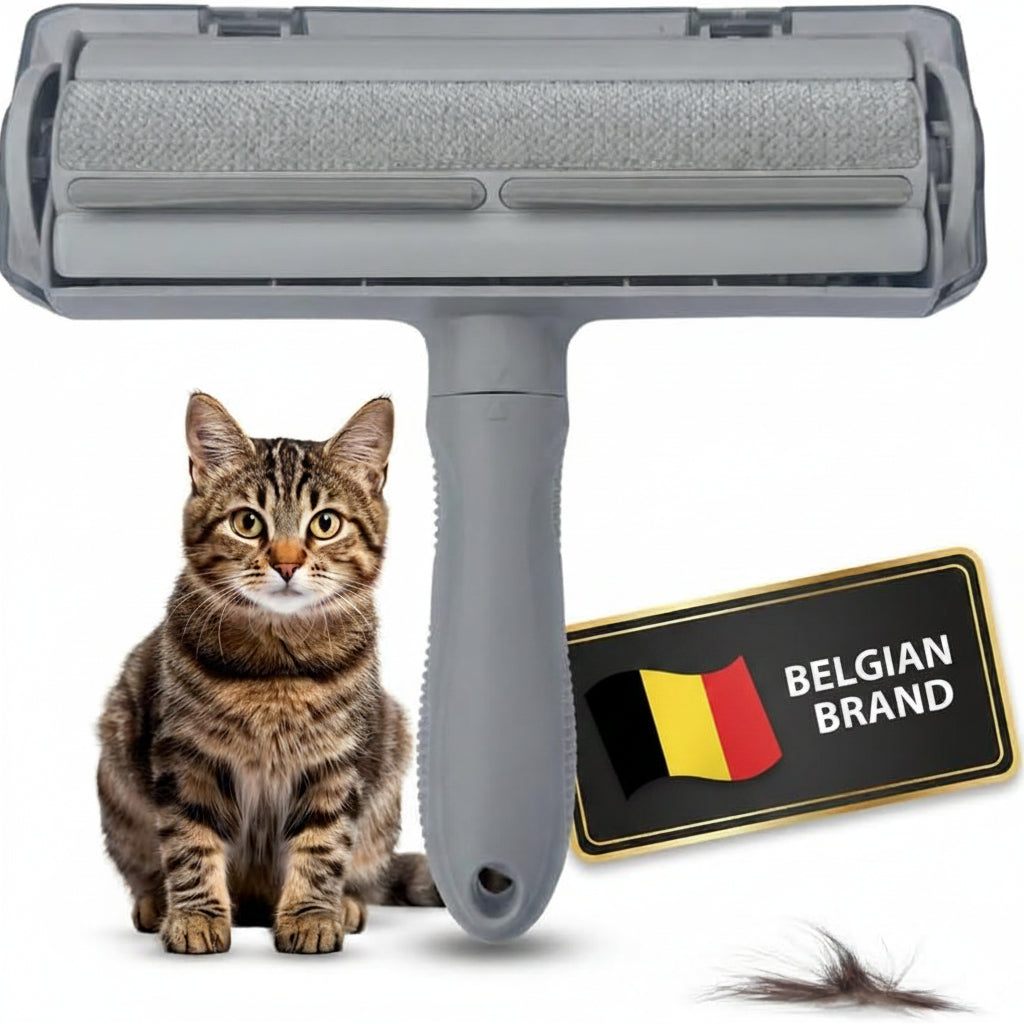 Tierhaarentferner – Katzenhaarentferner & Fusselrolle Für Tierhaare – Fusselbürste Zum Hundehaare Entfernen – Wiederverwendbare Tierhaarbürste, Ohne Kleber, Für Sofa & Bett