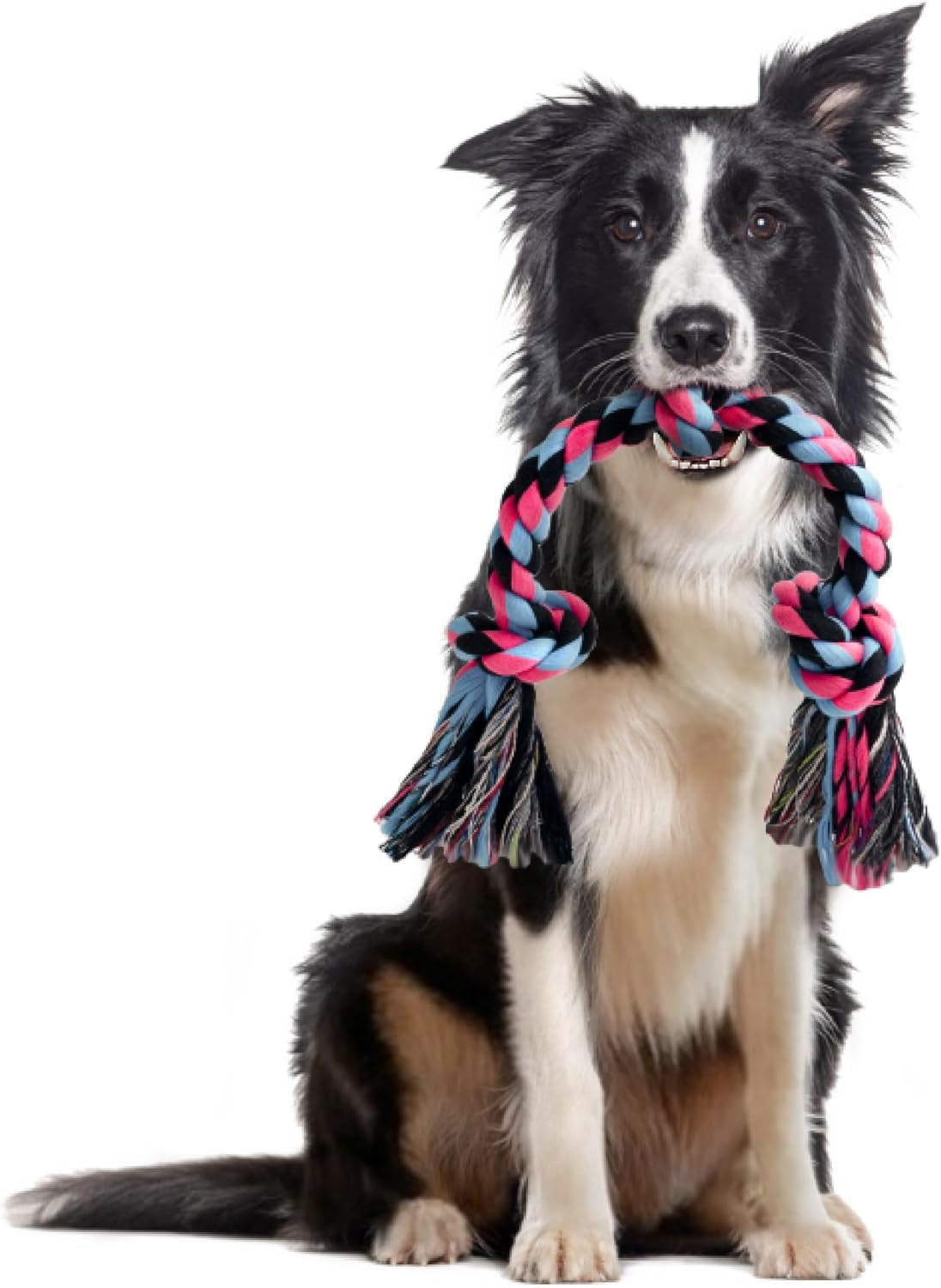 SHARLOVY Puppy Rope Toy, Dog Rope Toy for Small Dogs, Puppy Tething Toys, Cotton Interactive Tug of War Dog Toy for Puppy Langeweile, Dog Chew Toys for Aggressive Chewers Small Breed